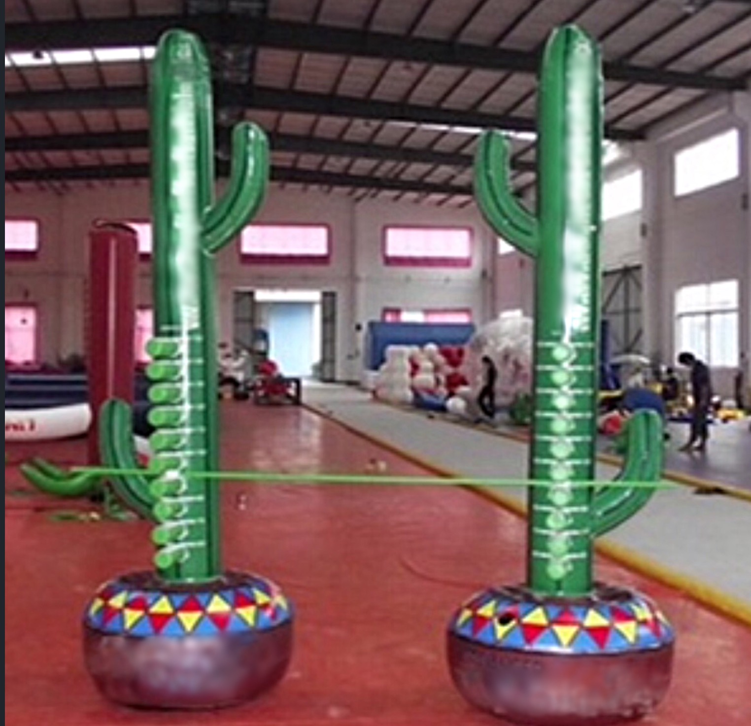 Limbo Cactus
